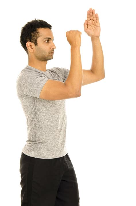 Shoulder Flexion Isometric 2 With Elbow Bend Vissco Healthcare