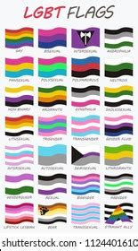 Set 28 Lgbt Flags Stock Vector Royalty Free 1124401610 Shutterstock