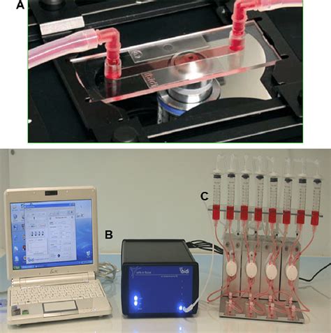 An Example Microfluidics Cellular Perfusion System Used To Expose Cells