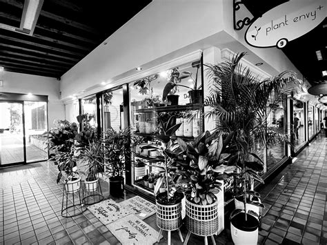 Visit Northern Tasmania | Hidden Gems Walking Tour