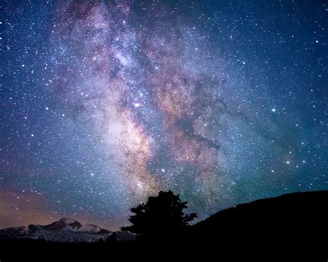 Download Wallpaper 1280x1024 Tree Silhouette Starry Sky Milky Way