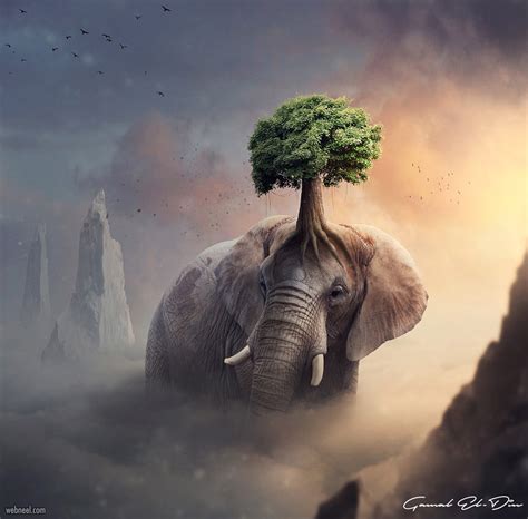 Photo Manipulation Elephant By Gamal Eldien 13