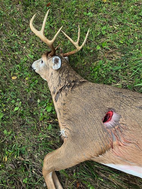 A faster bullet has less time to diverge from your target point due to wind, gravity etc. 50 Cal Exit Wound / 50 Cal Exit Wound / 15 Powerbelt ...
