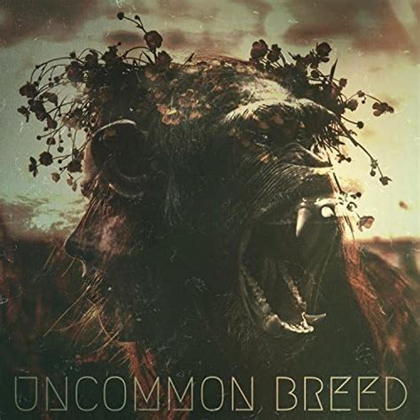 Uncommon Breed Explicit Uncommon Breed Digital Music