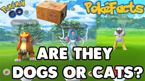 Some shinies are a completely different color to normal, while some only have small coloring changes. PokéFacts: Are Entei, Suicune, And Raikou Legendary Dogs or Cats? POKÉMON GO - YouTube