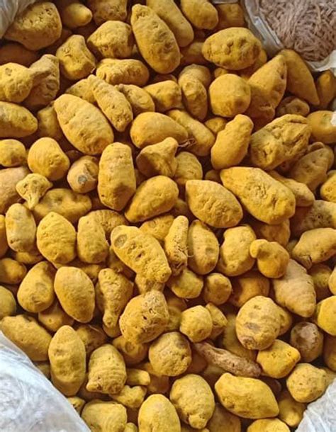 Dried Turmeric Finger At Rs 90 Kg Turmeric Finger In Kanpur ID