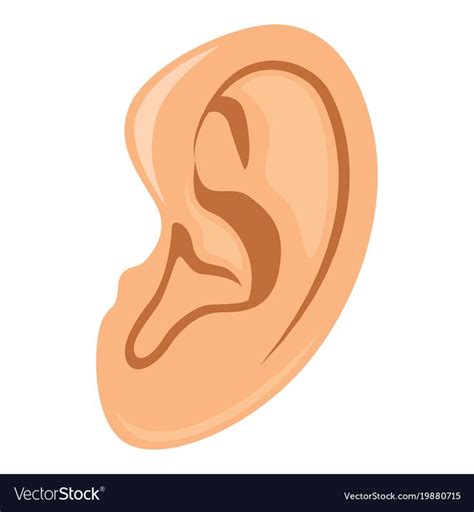 Ear Vector Image On Vectorstock Ear Vector Free Alphabet Coloring Pages