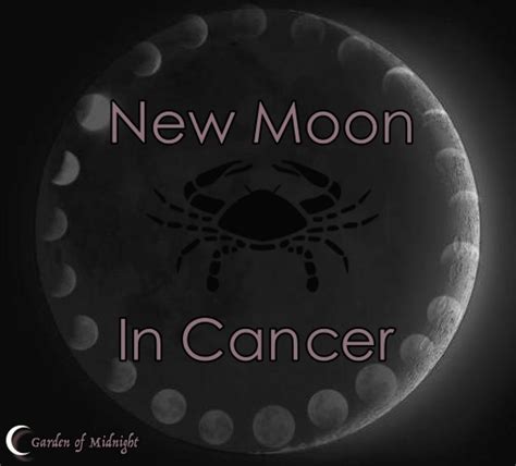 ☽garden Of Midnight☾ 13th Of July New Moon In Cancer