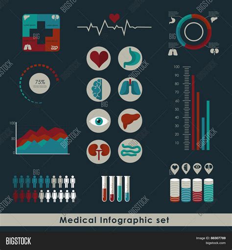 Medical Infographic Vector And Photo Free Trial Bigstock