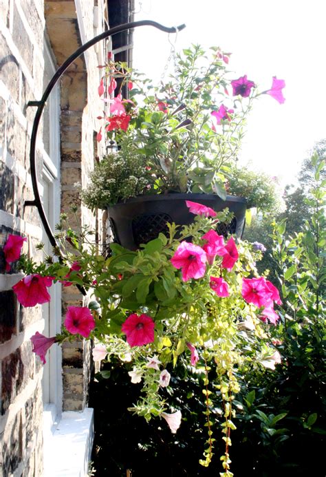 What Plants To Put In Hanging Baskets Garden Features Ideas