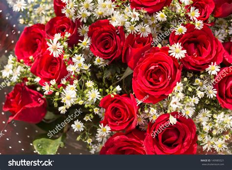 Bouquet Red Roses Babys Breath Flowers Stock Photo