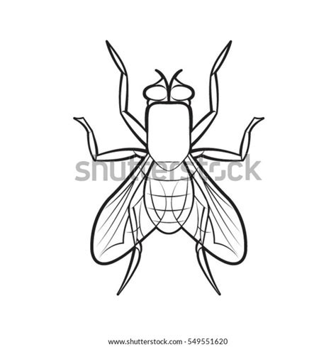 Housefly Black Outlinevector Drawing 스톡 벡터로열티 프리 549551620 Shutterstock