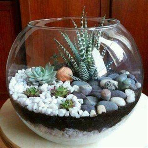 Si elige tener un terrario abierto o cerrado, tenga en cuenta que todas las plantas deben tener las mismas necesidades ambientales (es decir, suculentas frente a cactus). Cómo hacer un terrario en 2020 | Como hacer terrarios ...