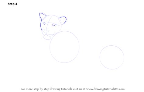 Draw two ears and do a rough outline of the jaguar's snout. Learn How to Draw a Jaguar (Zoo Animals) Step by Step ...