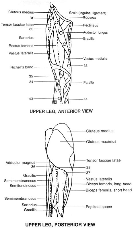 Good Night Restless Legs - Bonnie Prudden Myotherapy