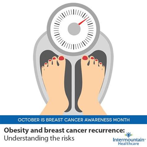 Obesity And Breast Cancer Reducing The Risks