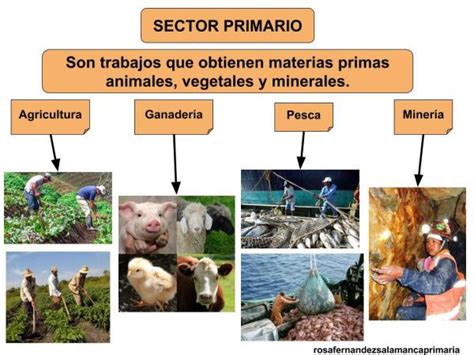 Qué Es El Sector Primario Y Cuáles Son Sus Actividades