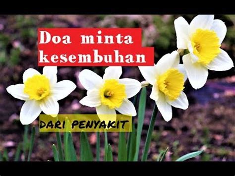 Ini sangat berguna ketika diri sedang sakit, jadi bisa langsung diamalkan. Doa minta kesembuhan dalam nama Yesus - YouTube