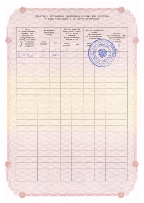 Check spelling or type a new query. Ветеринарное свидетельство 2011 | медовый-спас.рф
