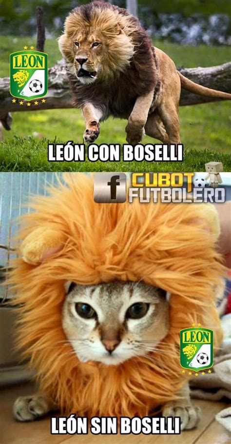 A man has fallen into the river in lego city. Ríete con los mejores memes del América-León | RÉCORD