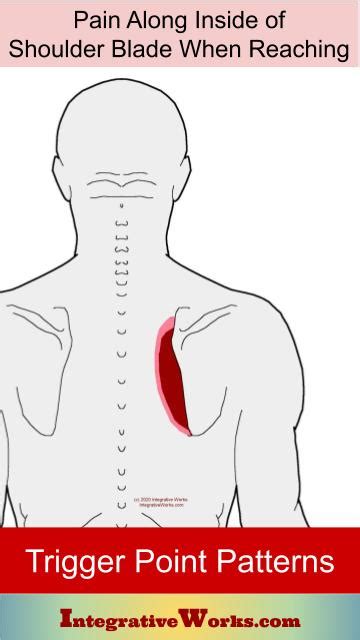 Self Care Pain In Shoulder Joint Or Inside Shoulder Blade