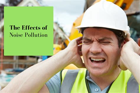 The Effects Of Noise Pollution And How Noise Absorbing Panels Help