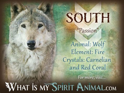 South Symbolism And Meaning What Is My Spirit Animal Spirit Totem