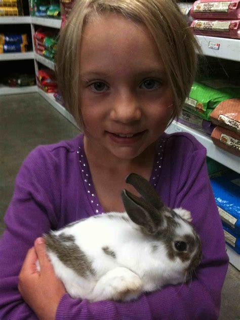 Rabbits Are Good Pets :: A Persuasive Essay - Eva Varga