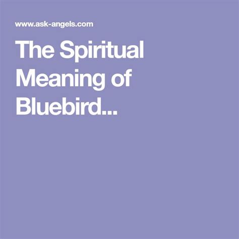 The Spiritual Meaning Of Bluebird Spiritual Meaning Meant To Be Spirituality