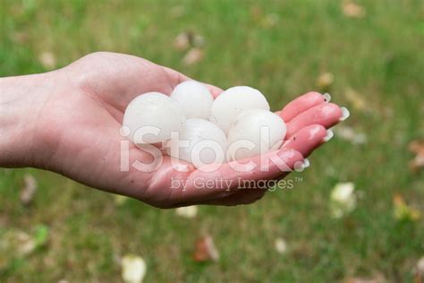 Hail In Hand Stock Photos