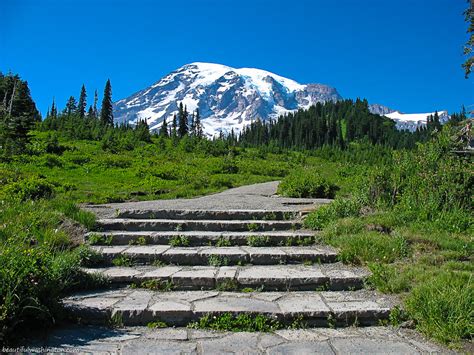 Mount Rainier Of Washington State Travel Guide