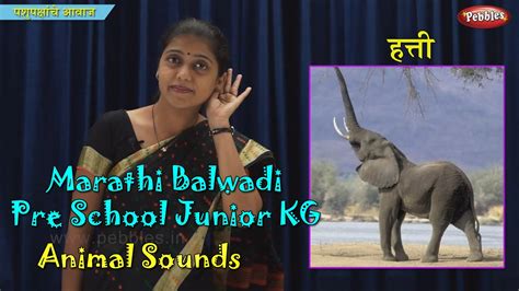 Animal Sounds In Marathi Learn Marathi Pre School Balwadi Marathi