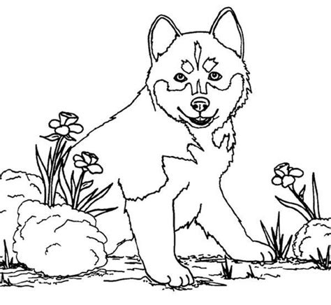 Coloriage Chien loup et dessin gratuit à imprimer. Dessine les