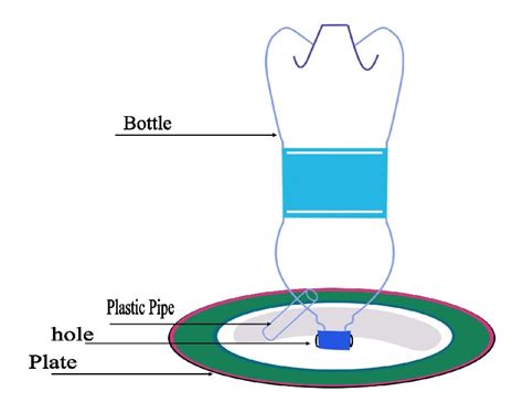 In today video you will learn how to make a simple and easy. DIY water Feeder for wild bird from pet bottle