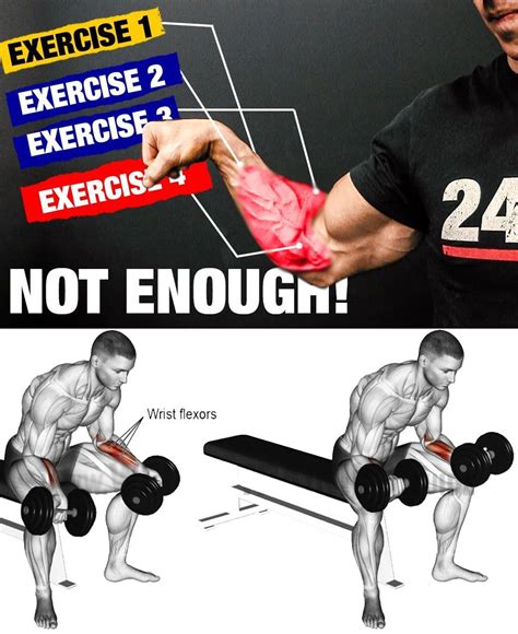 Training Forearms Forearm Workout Biceps Workout Core Workout Routine