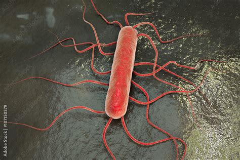 3d Illustration Of Bacterium Listeria Monocytogenes Gram Positive