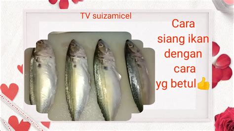 Many words come from japanese, english, russian, and chinese. Cara menyiang ikan... - YouTube