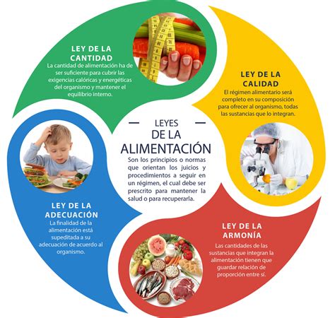Alix Calderon Leyes De La Alimentación