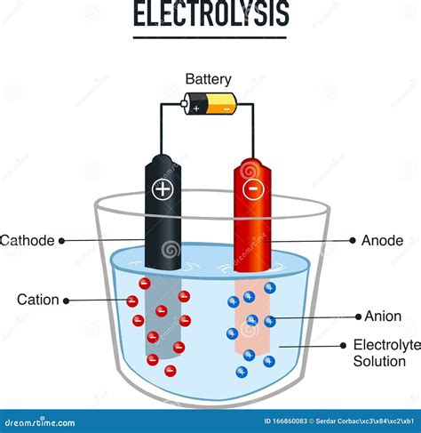 What Is Electrolysis Explain With Neat And Labelled Diagram Process Of Images And Photos Finder