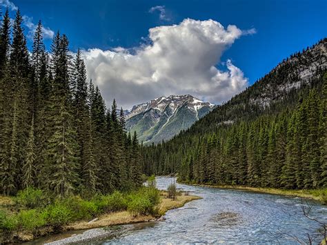 Sfondi Del Desktop Banff Canada Picea Natura Montagna Parchi Foreste