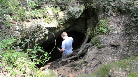 Vandal Caves Withlacoochee State Forest State Forest Forest Natural