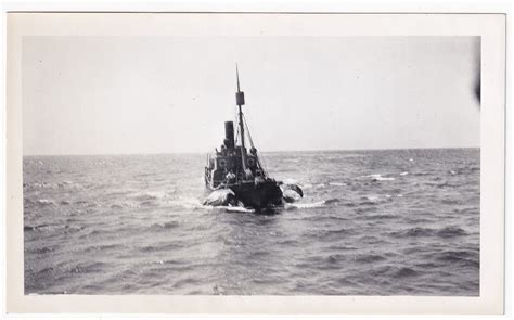 Vintage Whaling Photos