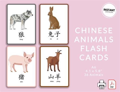 Chinese Animals Flashcards Printable Simplified Mandarin Etsy