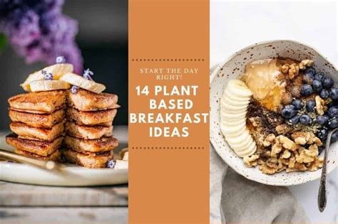 14 Plant Based Breakfast Ideas Jackslobodian