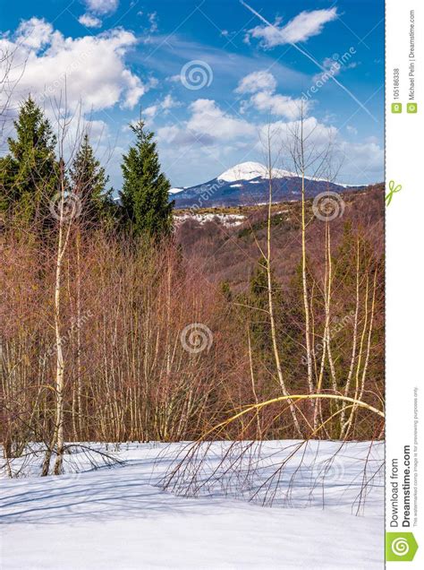 Spring Is Coming To Snowy Mountain Stock Photo Image Of Mountainous