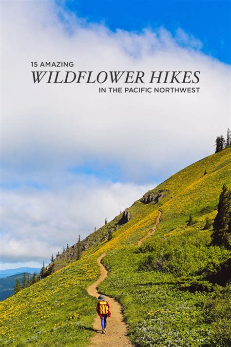 Best Hikes To See Pacific Northwest Wildflowers Oregon And Washington