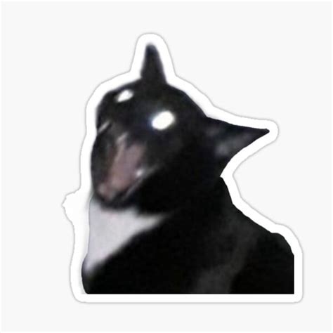 Funny Scary Cat With Glowing Eyes Memes Sticker For Sale By Pusla