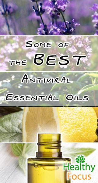 10 Best Antiviral Essential Oils 2018 Guide Healthy Focus