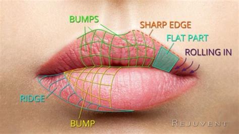 The Secret To Natural And Beautiful Lips Video • Rejuvent