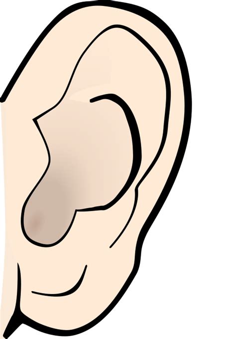 Clipart Ear Colored